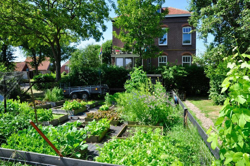 B&B De Postoari Terschelling Hoorn  Dış mekan fotoğraf